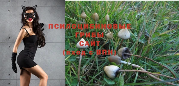 стаф Алексин