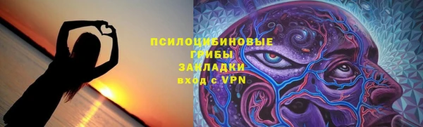 индика Абинск