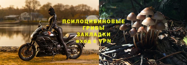 PSILOCYBIN Алзамай