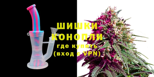 PSILOCYBIN Алзамай