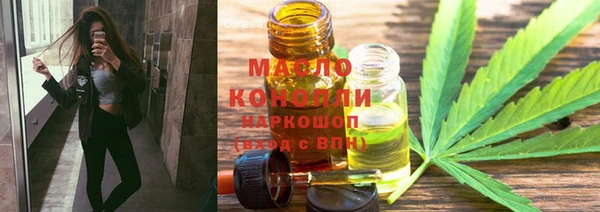 индика Абинск