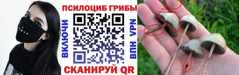 продажа наркотиков  Исилькуль  Псилоцибиновые грибы мухоморы 